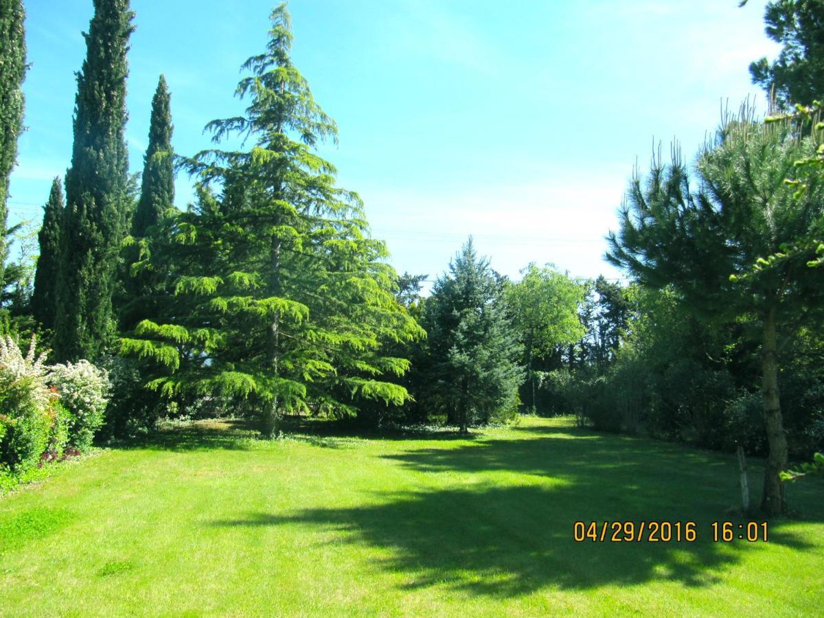 Le Vieux Pont Villa Carpentras Buitenkant foto